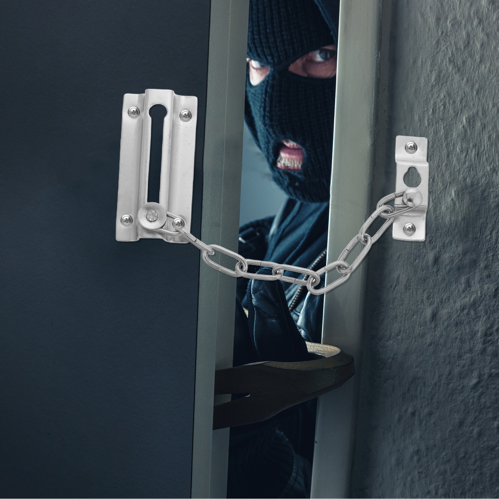 Heavy Duty Stainless Steel Ant – Security Chain Door Bewertung und Preis