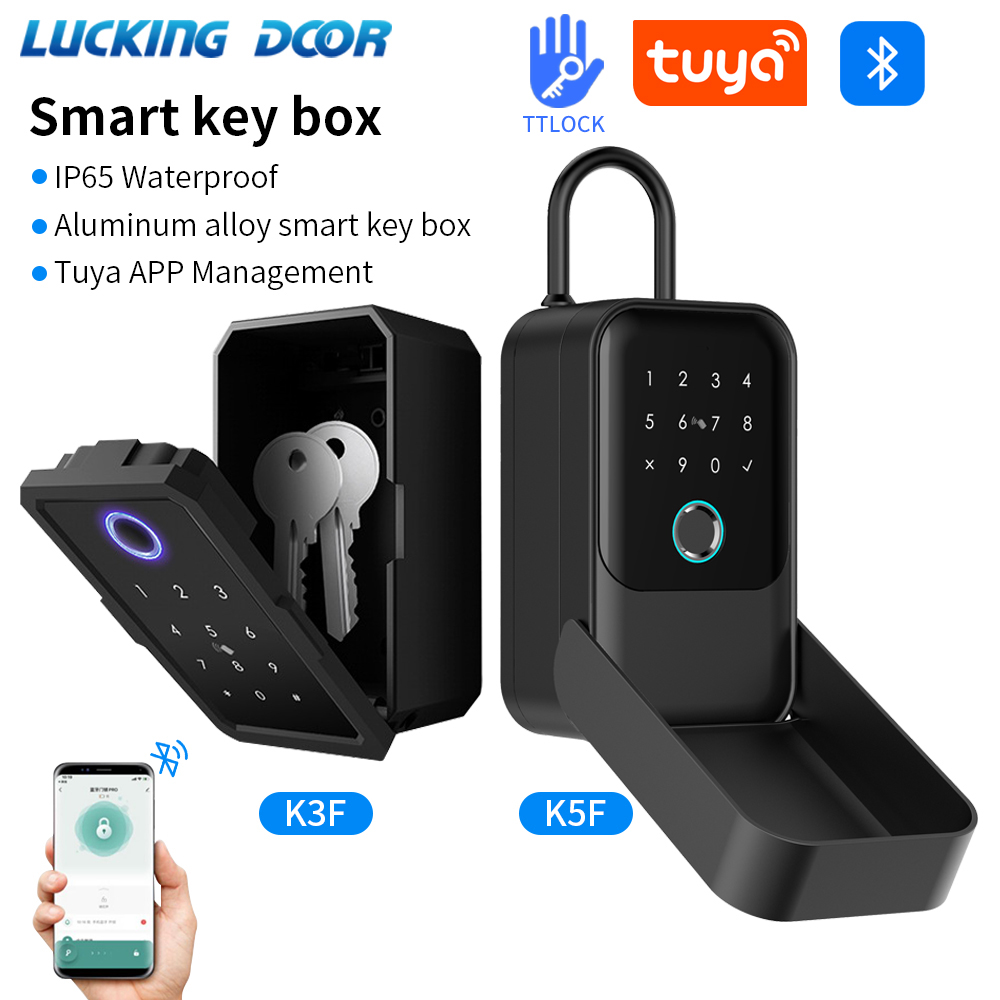 Tuya Smart Life App or TTLock  – Lockbox Key Secure Bewertung und Preis