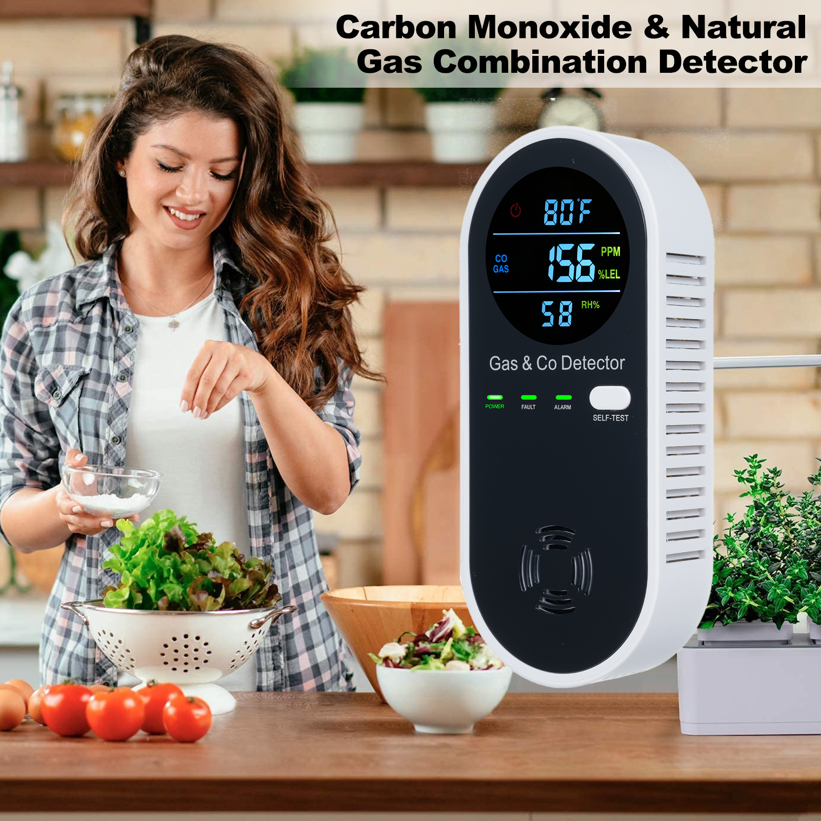 4 in 1 CO Monitor Alarm with L – Co Detector Plug Bewertung und Preis